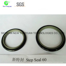 OEM Kfm / PTFE Step Seal para Compressor CNG